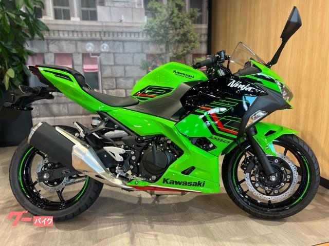 Ｎｉｎｊａ　２５０　２０２４年モデル