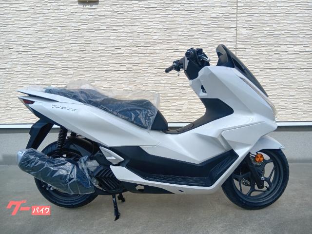 ＰＣＸ　パールスノーフレークホワイト　新車