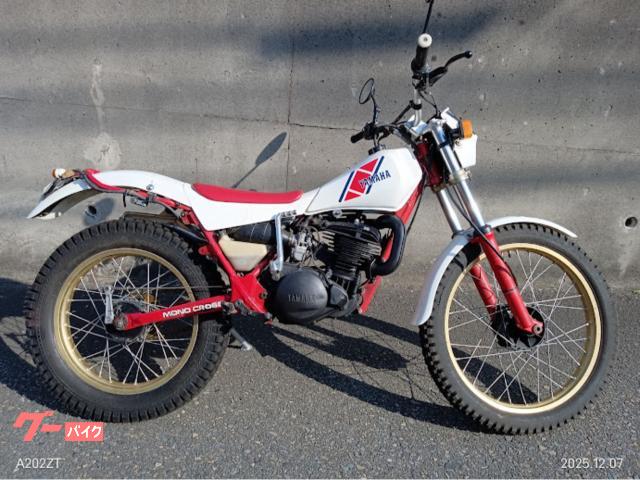 ＴＹ２５０Ｚスコティッシュ