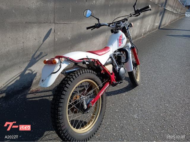 ヤマハ TY250Zスコティッシュ｜AUTO MAKES 愛｜新車