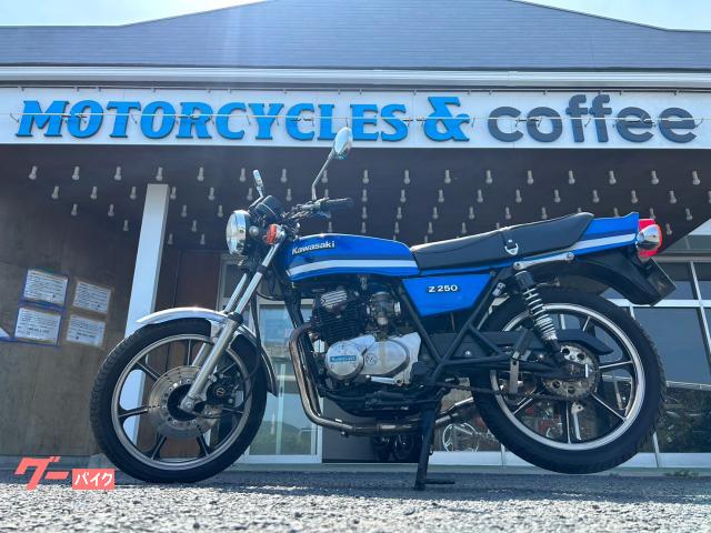Ｚ２５０ＦＴ