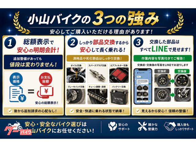 スズキ グラストラッカー ボルティーベースVMXトレールカスタム