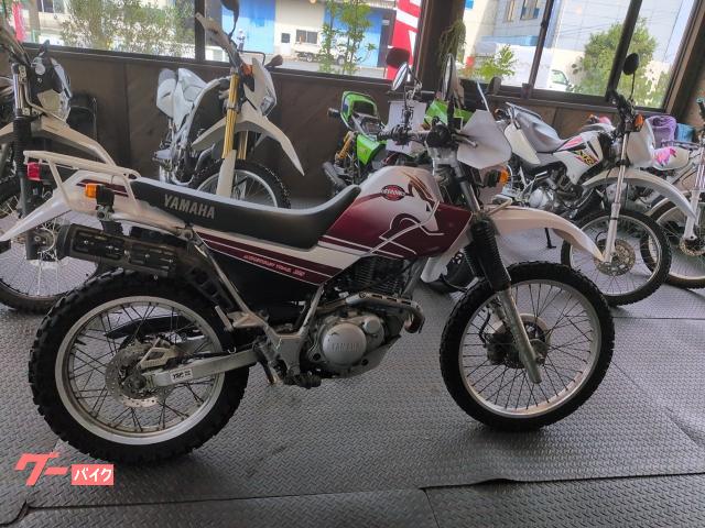 セロー２２５ＷＥ　リアキャリア　ナックルガード