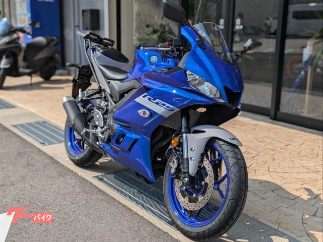 ＹＺＦ−Ｒ２５　ＡＢＳ　リアキャリア付き