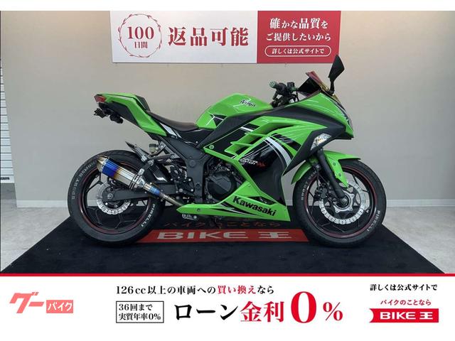 Ｎｉｎｊａ　２５０　マフラー　スクリーン　フェンダーレス　バックステップ