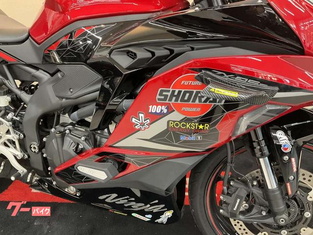カワサキ Ninja ZX－25R SE マフラー フェンダーレス