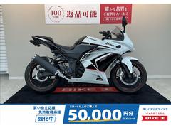 カワサキ　Ｎｉｎｊａ　２５０Ｒ　Ｓｐｅｃｉａｌ　Ｅｄｉｔｉｏｎ　ウインカーレンズ　フェンダーレス　テールランプ