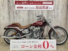 ＨＡＲＬＥＹ−ＤＡＶＩＤＳＯＮ　ＣＶＯ　ＦＸＳＢＳＥ　ブレイクアウト　フェンダーレス　メッキホイール