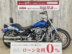 ＨＡＲＬＥＹ−ＤＡＶＩＤＳＯＮ　ＦＸＬＲ　ソフテイル　ローライダー　シーシーバー　サドルバッグサポート　グリップヒーター