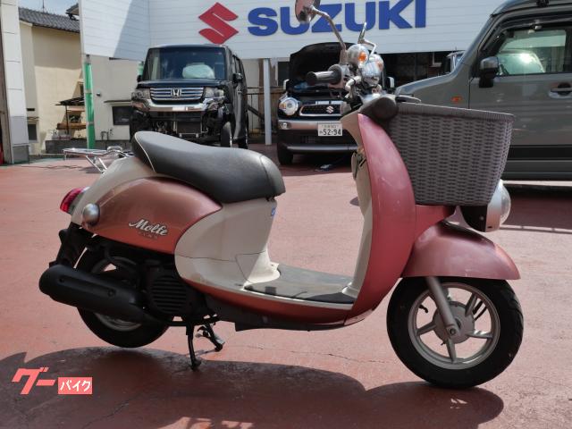 ビーノモルフェ　前かご　シャッター付　インジェクション