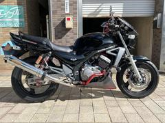 スズキ　ＧＳＸ２５０ＦＸ　　ビキニカウル　アンダーカウル　マフラーなど