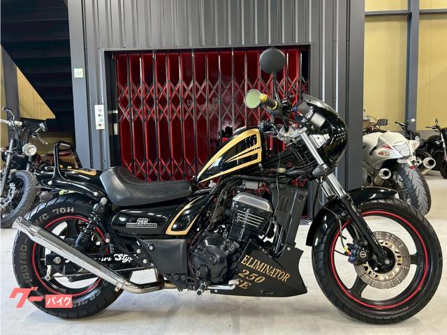 エリミネーター２５０ＳＥ　フルカスタム　２本だし