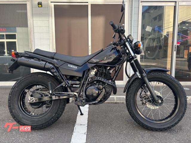 ＴＷ２２５Ｅ　２００７年式　ノーマル