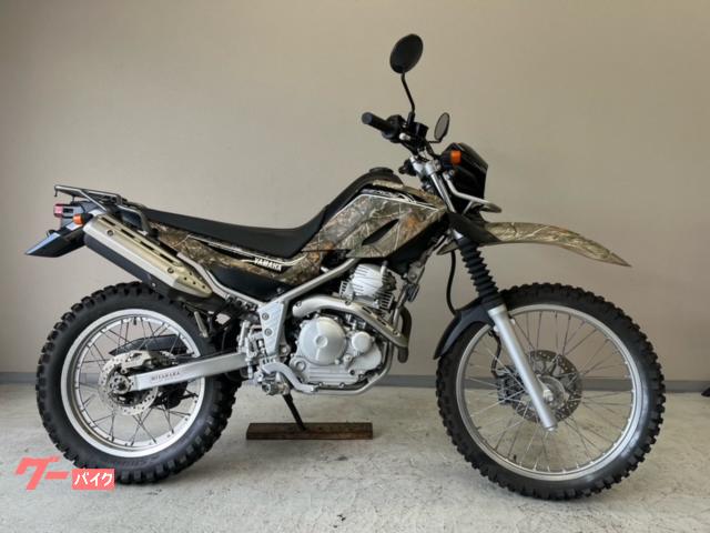 セロー２５０　ＦＩインジェクションモデル　ＤＧ１７Ｊ　２５周年アニバーサリーモデル　ノーマル