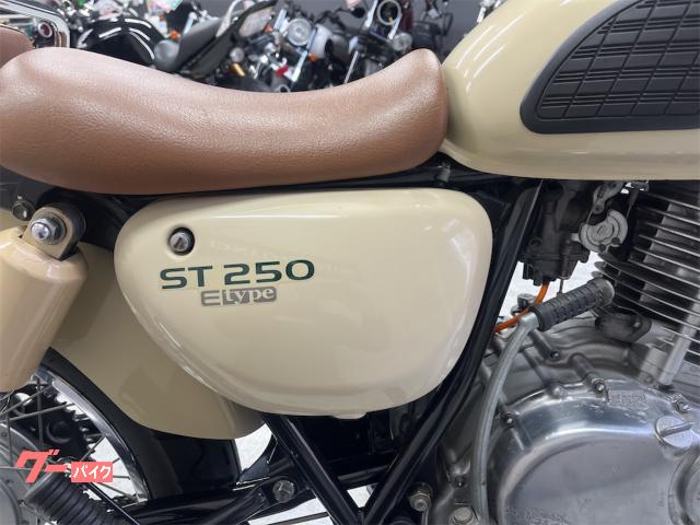 スズキ ST250 Eタイプ Cカスタマイズ 200台限定モデル スズキ ST250 Eタイプ Cカスタマイズ 200台限定モデル