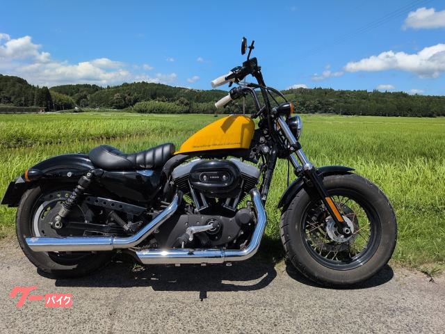 ＸＬ１２００Ｘ　フォーティエイト　バンスマフラー　サイドバック　ハンドル
