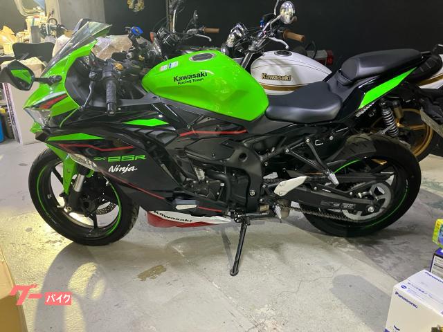 Ｎｉｎｊａ　ＺＸ−２５Ｒ　ＥＴＣ