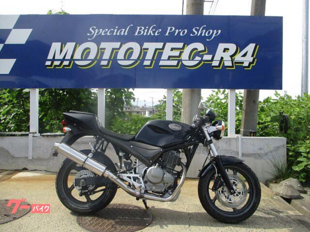 Ｇｏｏｓｅ２５０　バックステップ　フルエキ