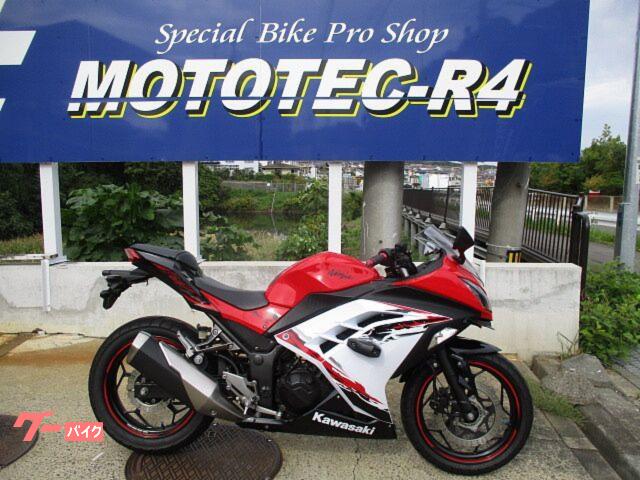 Ｎｉｎｊａ　２５０
