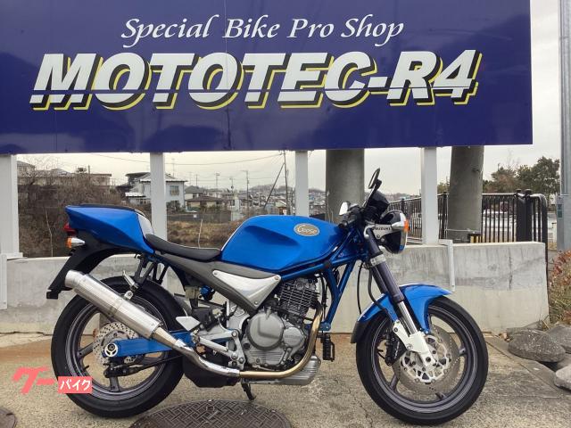 Ｇｏｏｓｅ３５０　フルノーマル