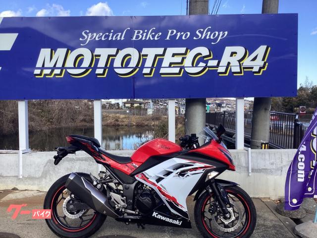 Ｎｉｎｊａ　２５０　フルノーマル