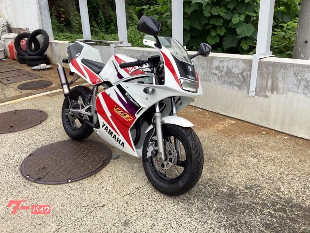 ヤマハ TZM50R｜MOTOTEC－R4 （株）モトテック｜新車