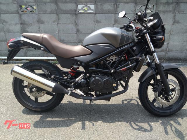 ＶＴＲ２５０