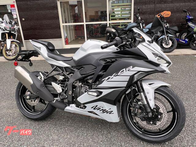 Ｎｉｎｊａ　ＺＸ−４Ｒ　ＳＥ