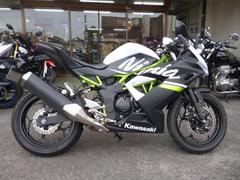 カワサキ　Ｎｉｎｊａ　２５０ＳＬ