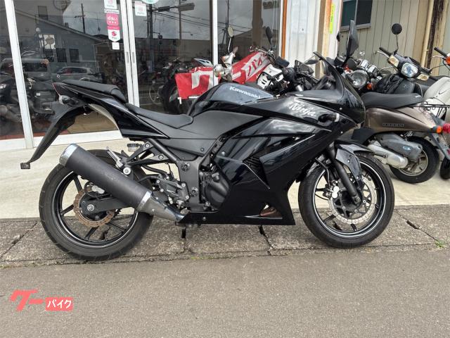 Ｎｉｎｊａ　２５０Ｒ