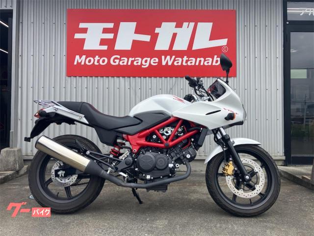 ＶＴＲ２５０Ｆ　ＡＢＳ　ＥＴＣ
