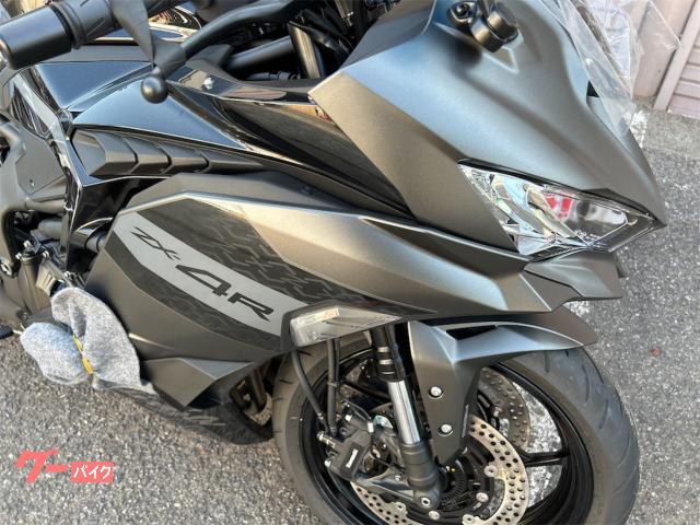 クロスバイクグレー カワサキ Ninja ZX－4R SE メタリックマット