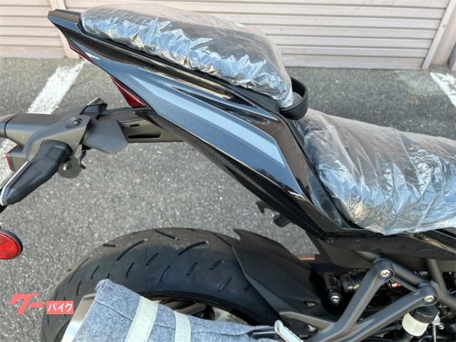 カワサキ Ninja ZX－4R SE メタリックマット