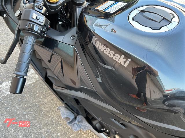 カワサキ Ninja ZX－4R SE メタリックマットグラフェン