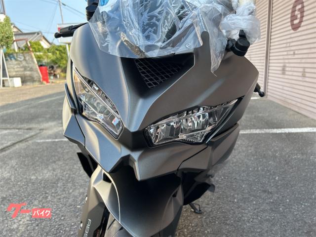 カワサキ Ninja ZX－4R SE メタリックマット