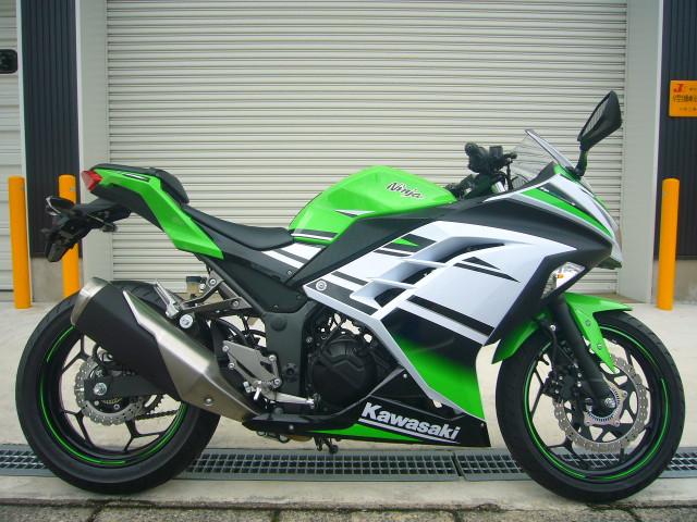 Ｎｉｎｊａ　２５０　３０ｔｈ　Ａｎｎｉｖｅｒｓａｒｙ