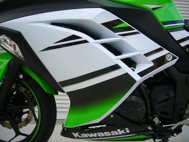 カワサキ Ninja 250 30th Anniversary