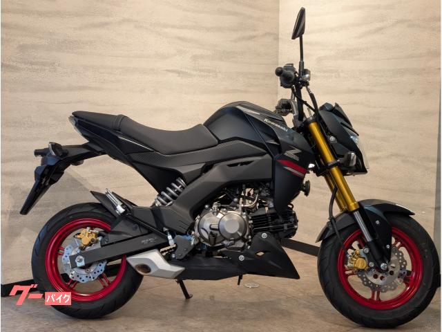 Ｚ１２５ＰＲＯ