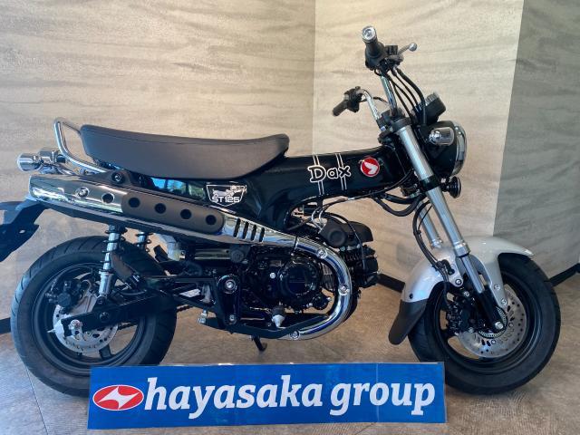 ホンダ ダックス１２５ ２０２５年モデル｜ハヤサカサイクル 大手町店｜新車・中古バイクなら【グーバイク】