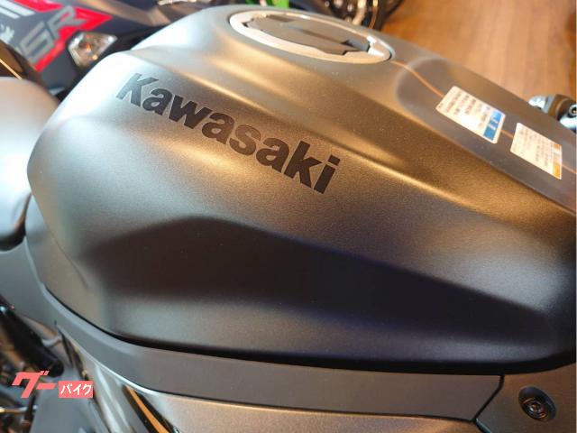 カワサキ Ｎｉｎｊａ　ＺＸ－２５Ｒ　ＳＥ／マットグレーの画像（山形県