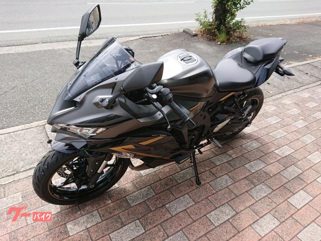 カワサキ Ｎｉｎｊａ　ＺＸ－２５Ｒ　ＳＥ／マットグレーの画像（山形県