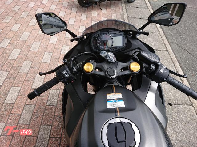 カワサキ Ｎｉｎｊａ　ＺＸ－２５Ｒ　ＳＥ／マットグレーの画像（山形県