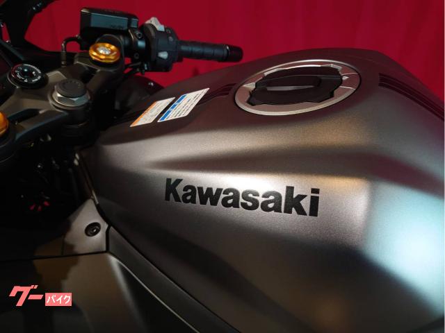 カワサキ Ninja ZX－4R SE／2025年モデル
