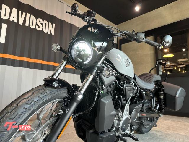 HARLEY-DAVIDSON RH975S 2024 — миниатюра 6