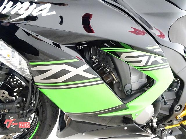 六国　７ 2007 Kawasaki ZX600P7F NINJA ZX-6R - 599cc Options and Equipment