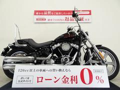 ＨＡＲＬＥＹ−ＤＡＶＩＤＳＯＮ　ＦＸＳＴ　ソフテイルスタンダード　エンジンガード／Ｃ・Ｃバー