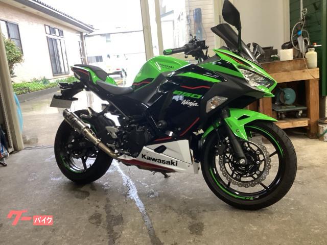 Ｎｉｎｊａ　２５０