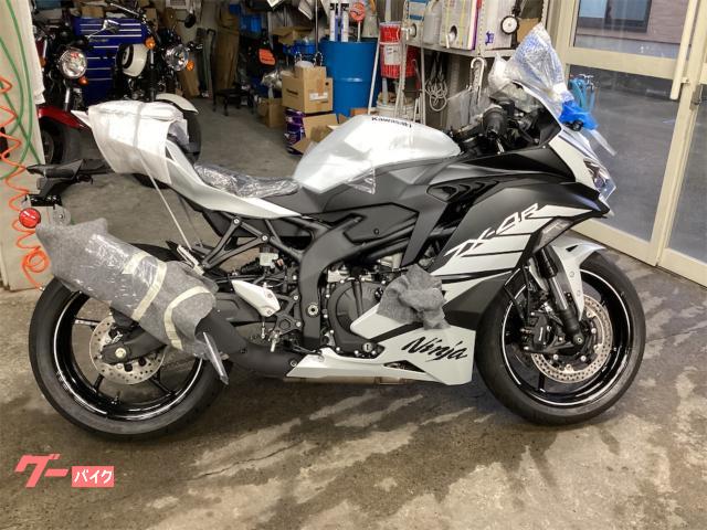 Ｎｉｎｊａ　ＺＸ−４Ｒ　ＳＥ
