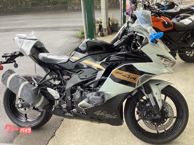 Ｎｉｎｊａ　ＺＸ−４Ｒ　ＳＥ