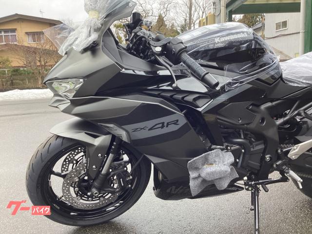 カワサキ Ninja ZX－4R SE メタリックマットグラフェン